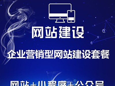 網(wǎng)站建設(shè)企業(yè)營(yíng)銷(xiāo)型網(wǎng)站建設(shè)服務(wù)