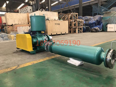 21年生產(chǎn)經(jīng)驗(yàn)羅茨鼓風(fēng)機(jī)污水處理設(shè)備