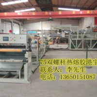 港寶機(jī)，港寶機(jī)器，低溫港寶機(jī)，熱熔膠港寶機(jī)，低溫?zé)崛勰z港寶機(jī)