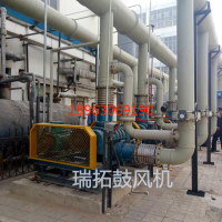 羅茨鼓風(fēng)機中雙極羅茨鼓風(fēng)機的原理