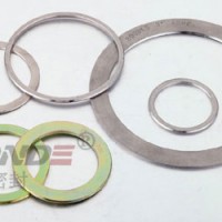 ZD-W1230纏繞墊片內外環(huán)