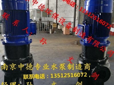 長期專業(yè)供應(yīng)南京中德WL立式排污泵，雜質(zhì)泵，渣漿泵，吸砂泵等