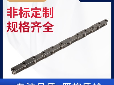 不銹鋼空心銷(xiāo)軸鏈條 環(huán)球鏈條 不銹鋼鏈條 非標(biāo)定制