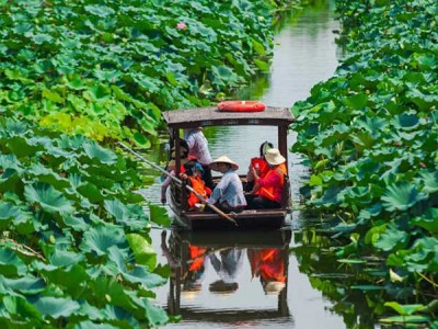 蘇州少兒暑假夏令營(yíng)賞千畝荷花人與自然探索體驗(yàn)營(yíng)活動(dòng)拓展報(bào)名中