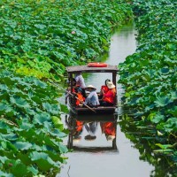 蘇州少兒暑假夏令營(yíng)賞千畝荷花人與自然探索體驗(yàn)營(yíng)活動(dòng)拓展報(bào)名中