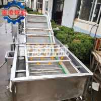 果蔬氣泡清洗機 紅薯土豆清洗設備 大姜清洗機生產(chǎn)廠家