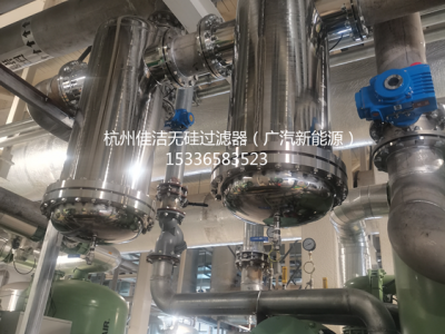不銹鋼無(wú)硅過(guò)濾器AA0205F-SSC/SF